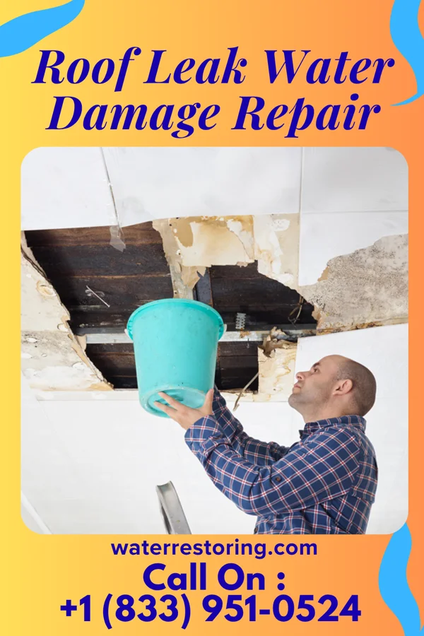 Roof Leak Water Damage Repair in Kangley, IL