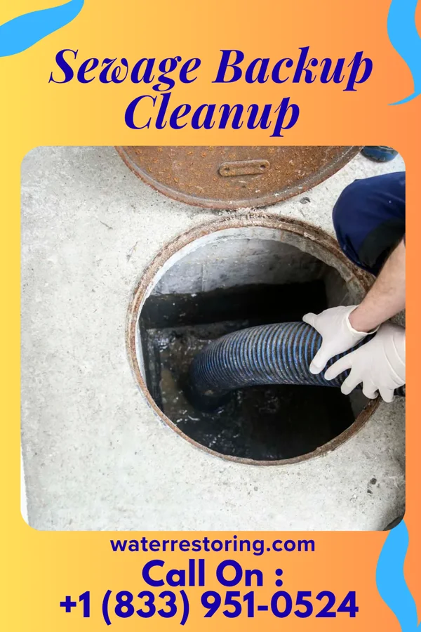 Sewage Backup Cleanup in Kangley, IL